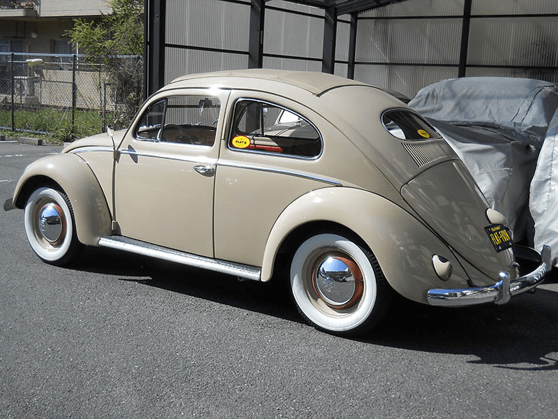 1954 TYPE-1 OVAL
